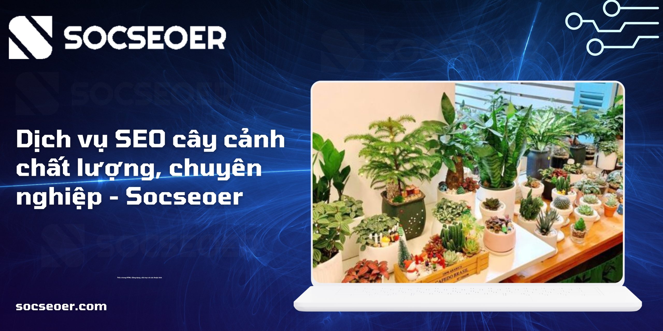 Dịch vụ SEO cây cảnh