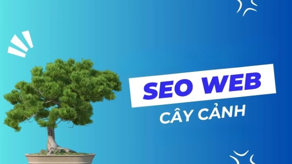 Tìm hiểu dịch vụ SEO cây cảnh chất lượng cao