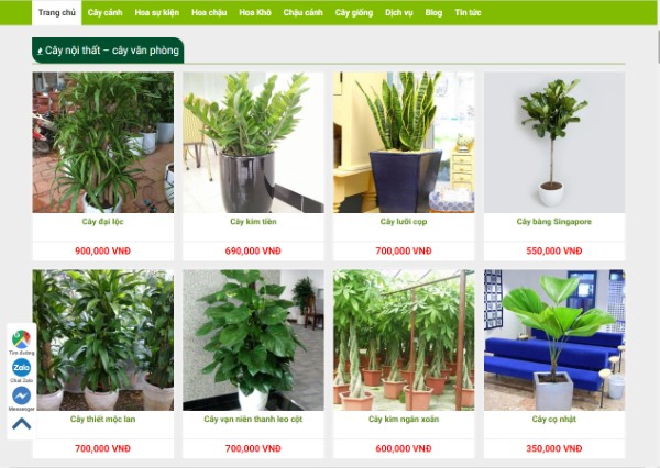 Đối tượng phù hợp với dịch vụ SEO cây cảnh