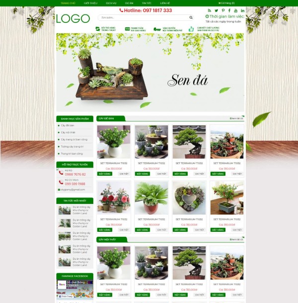 Tạo và cập nhật nội dung thường xuyên trên website