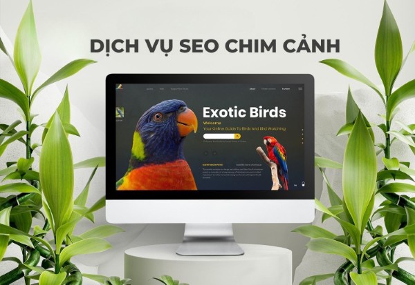 Tổng quan về dịch vụ SEO chim cảnh