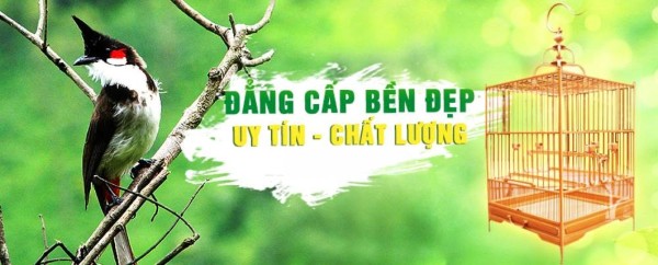 Xây dựng nội dung chuyên biệt cho trang web chim cảnh