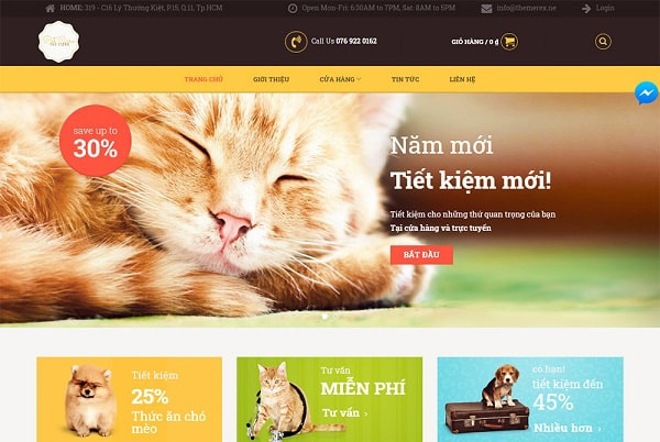 Dịch vụ SEO thú cưng cần thực hiện những gì?