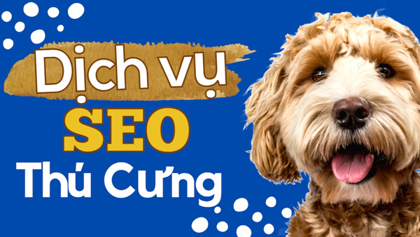 Dịch vụ seo thú cưng chuyên nghiệp uy tín - Socseoer