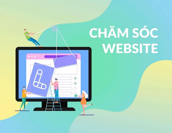 Lựa chọn dịch vụ Backlink phù hợp với Website của bạn