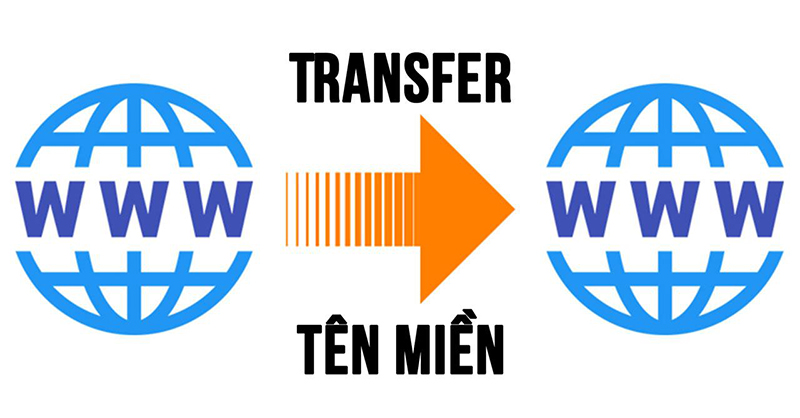 Transfer domain là gì? Làm sao chuyển tên miền thành công?