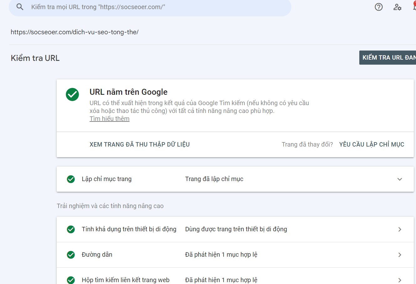 Hướng dẫn kiểm tra trong Google Search Console