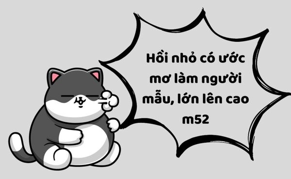 Những mẫu content, caption hài hước