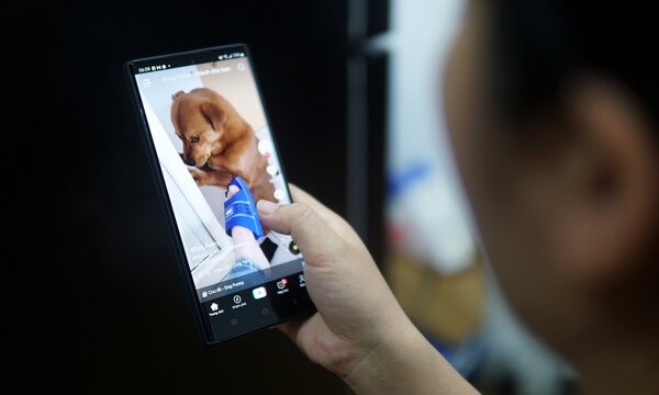 Video ngắn lên ngôi