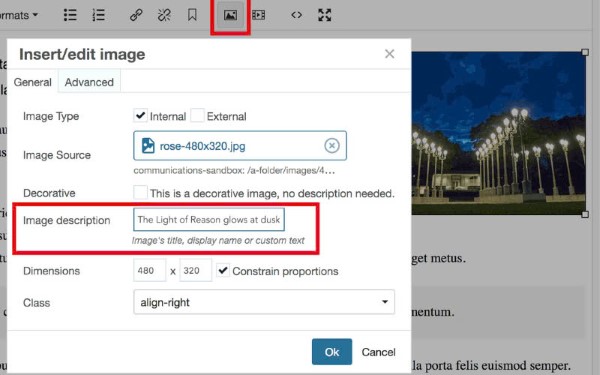Cách viết Alt Text hoạt động hiệu quả