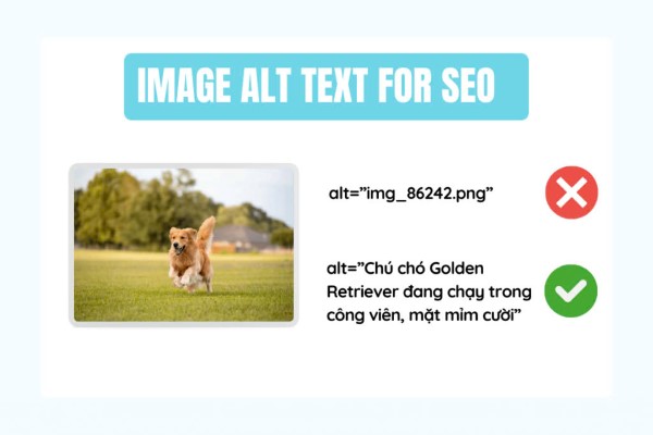 Các lỗi mắc phải khi Alt Text hình ảnh