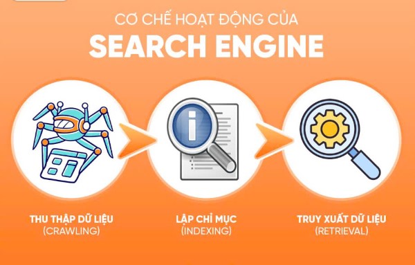 Cơ chế hoạt động của Search Engine