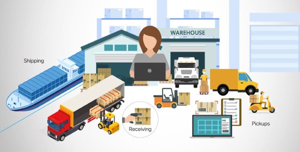 Nghiên cứu ngành, đối thủ và hành vi khách hàng logistics
