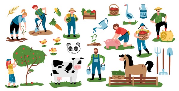 Vì sao cần thiết kế website bán đặc sản?