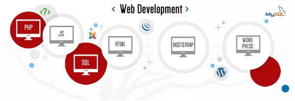 Giải pháp thiết kế website dịch vụ bảo vệ – thám tử tại Socseoer