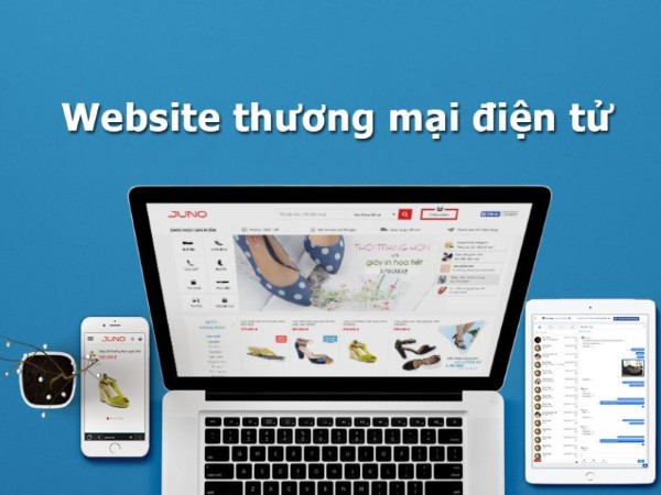 Tổng quan về website thương mại điện tử