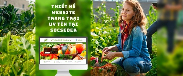 Dịch vụ thiết kế website trang trại uy tín, chất lượng tại Socseoer