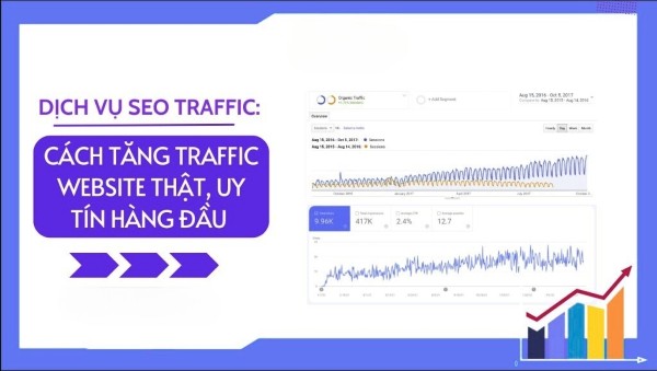Dịch vụ SEO Traffic chất lượng - Tăng Organic Traffic hiệu quả