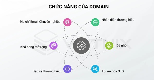 Tại sao Domain lại quan trọng? Những chức năng nổi bật của tên miền
