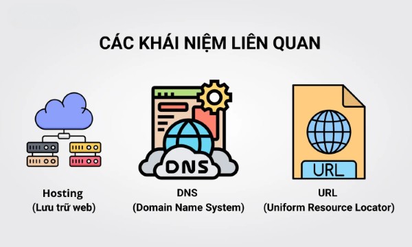 Những thuật ngữ quan trọng cần biết khi tìm hiểu về Domain