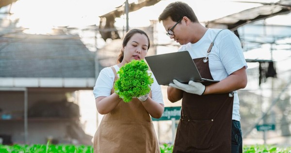 Tố chất và kỹ năng cần có để làm việc trong ngành FMCG