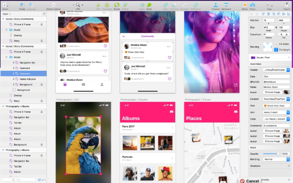 Web & App: Thiết kế giao diện website và ứng dụng