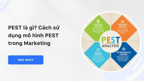 Mô hình PEST là gì?