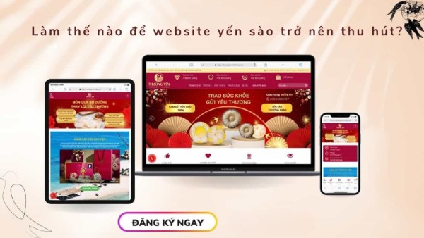 Làm thế nào để website yến sào trở nên thu hút? Làm thế nào để website yến sào trở nên thu hút?