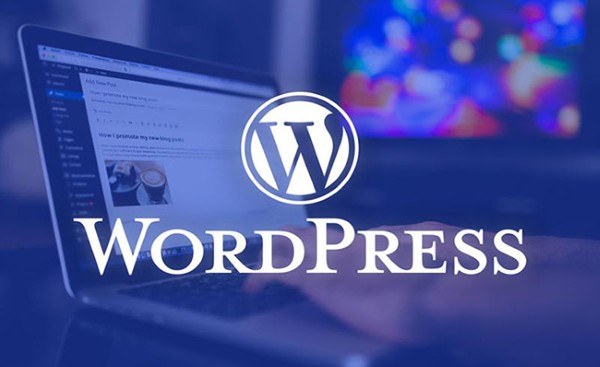 Các sai lầm phổ biến trong cách SEO web WordPress