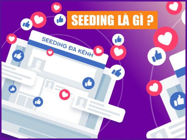 Content seeding là gì?