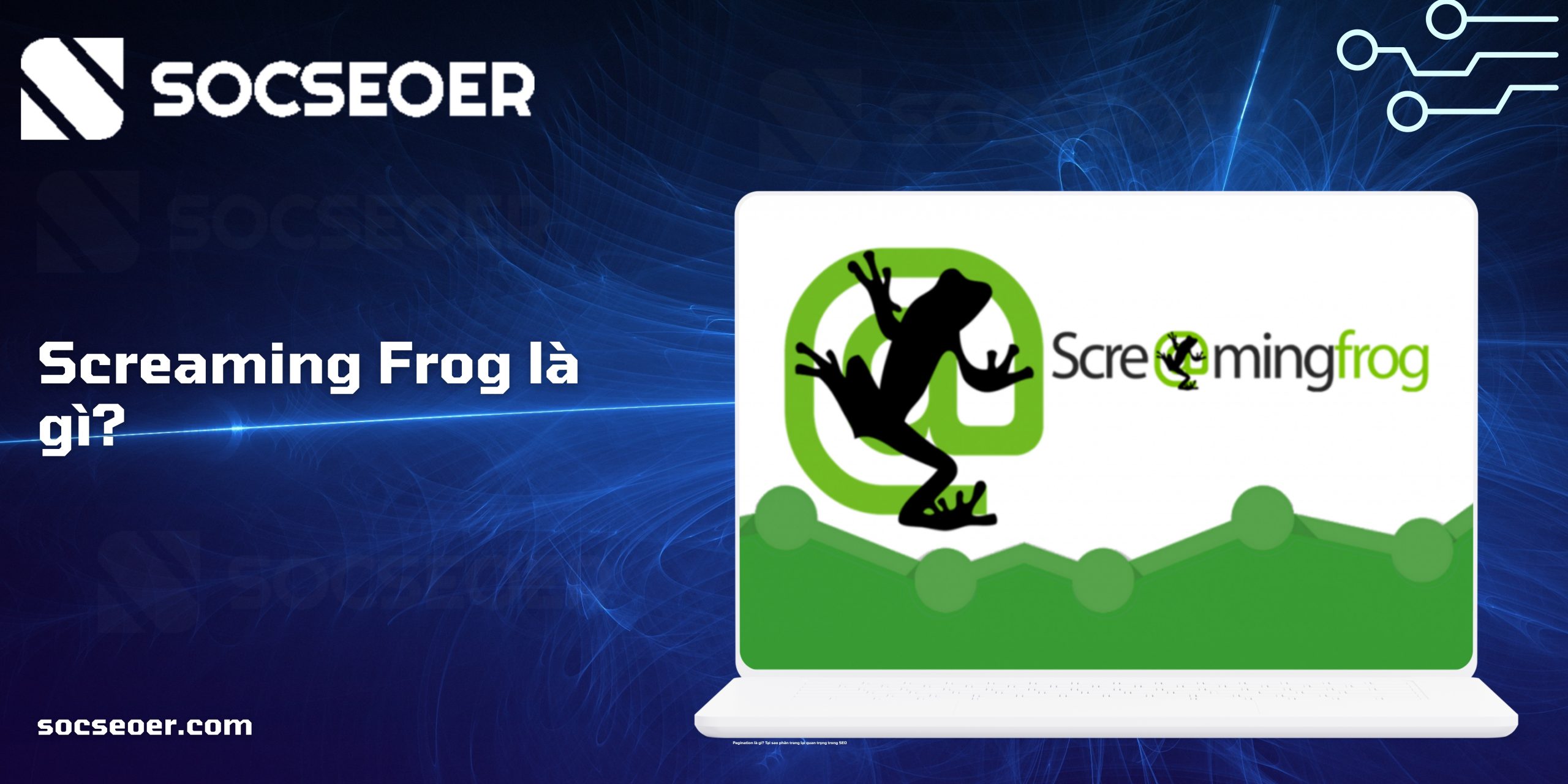 Screaming Frog là gì? Hướng dẫn sử dụng công cụ SEO chi tiết nhất