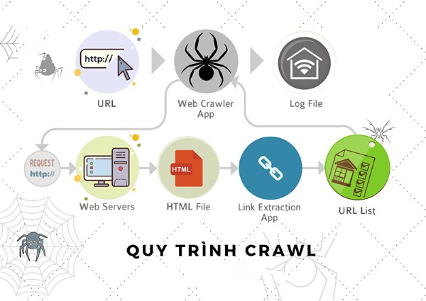 Cách thức hoạt động của Crawl