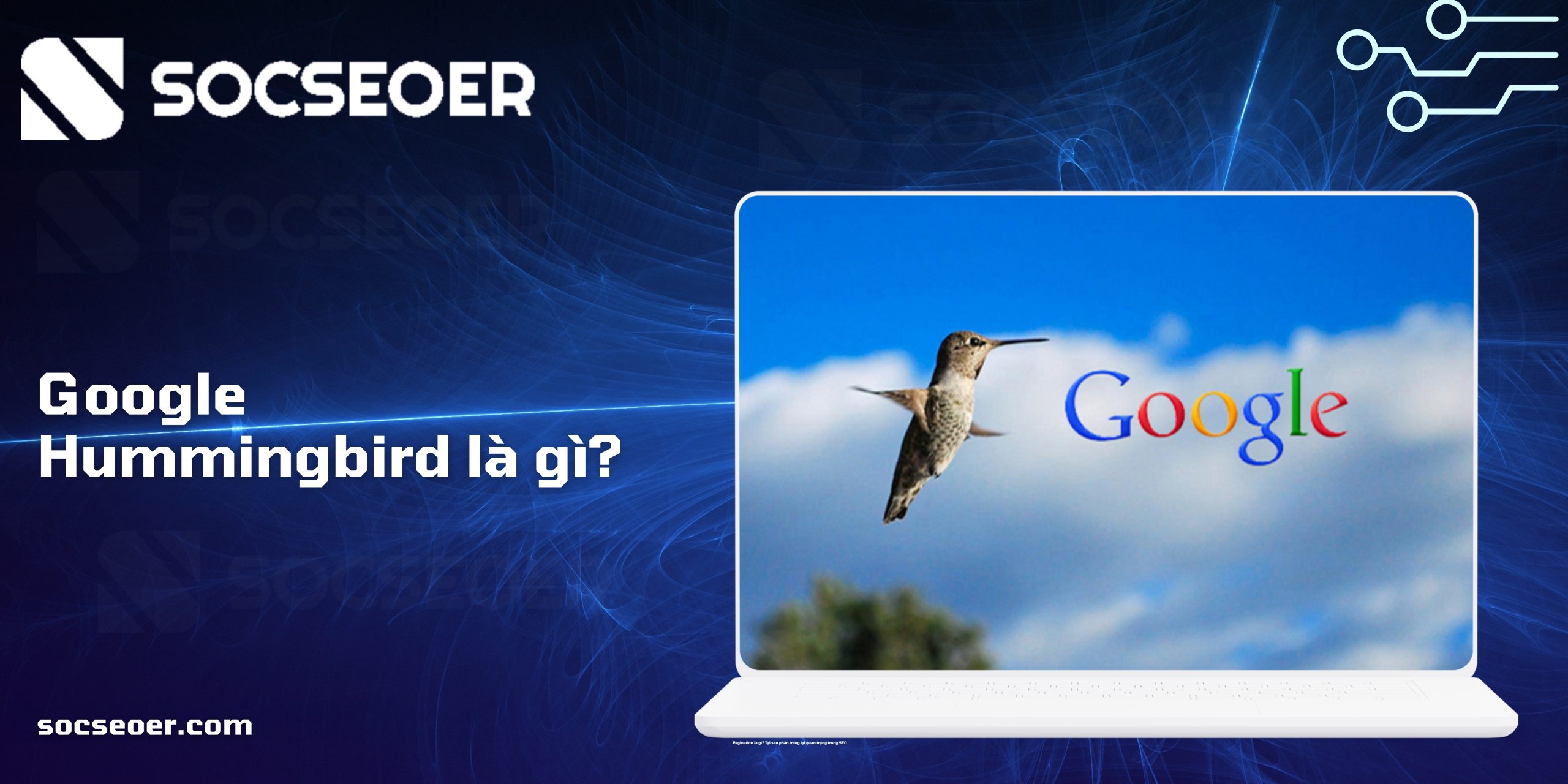 Google Hummingbird là gì? Cách SEO website thân thiện "chim ruồi"