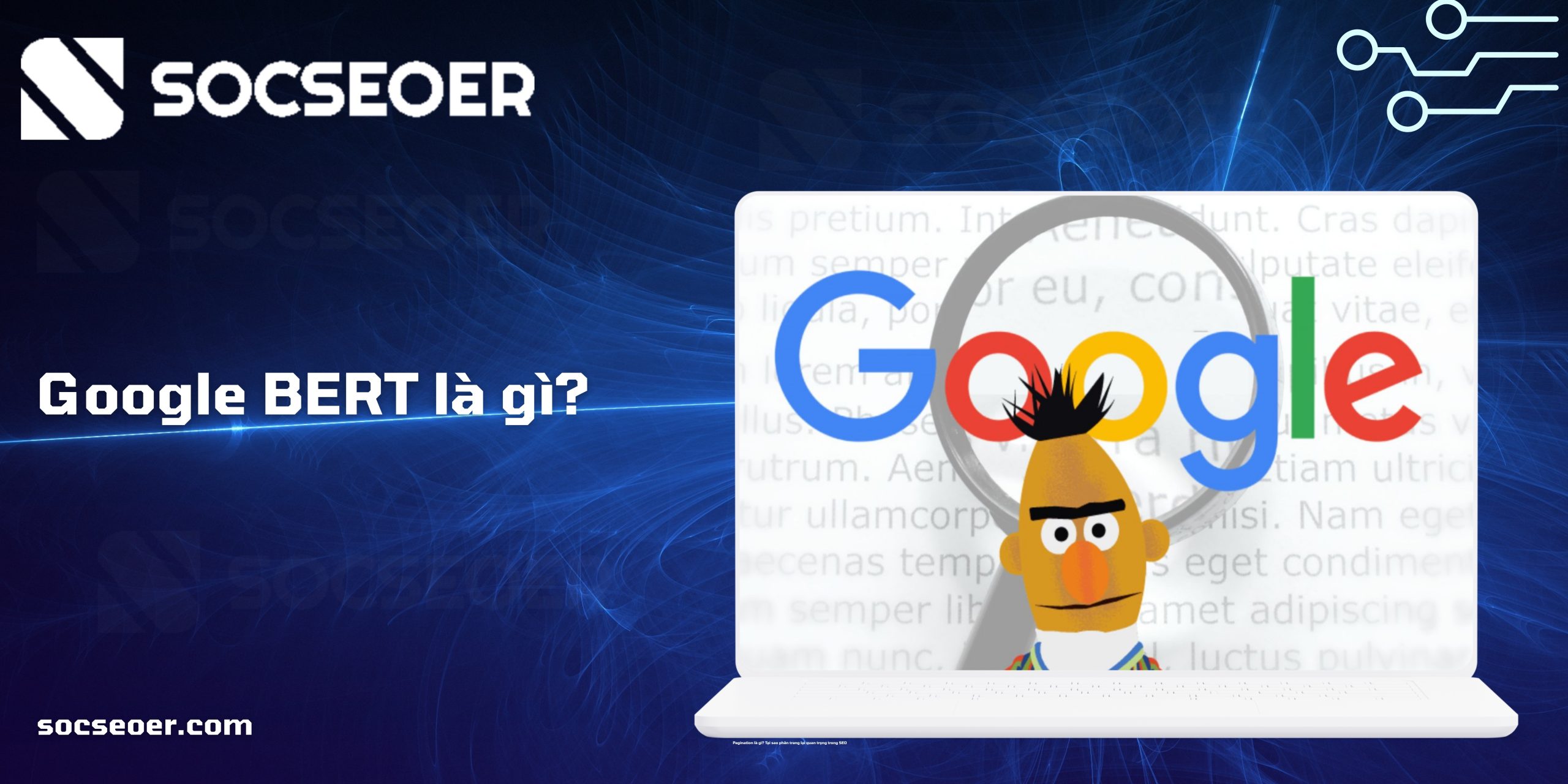Google BERT là gì? Ảnh hưởng của BERT đến SEO và thứ hạng