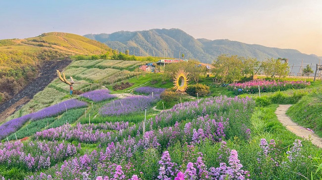 Dịch Vụ SEO Điện Biên Nhanh Chóng - Xây Dựng Uy Tín Doanh Nghiệp Triển khai SEO sớm tại thị trường Điện Biên mang lại nhiều lợi thế