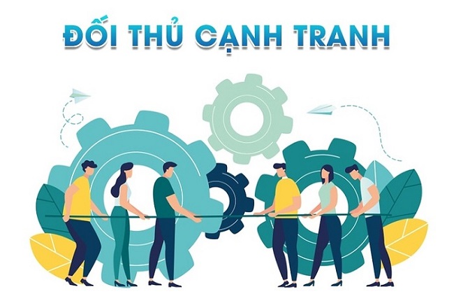 Phân tích website và thị trường cạnh tranh tại Bạc Liêu